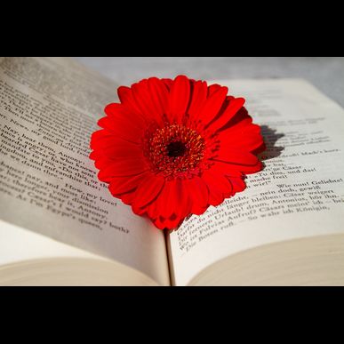 滋賀で４トントラックの運転手を採用しています